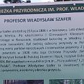 Obraz 231